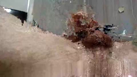 Snapshot of yourwishismypleasure1 chatting on November 17, 8:47 pm yourwishismypleasure1 online show from November 17, 8:47 pm