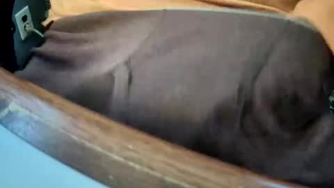 Snapshot of yuppers1234 chatting on December 19, 4:36 pm yuppers1234 online show from December 19, 4:36 pm