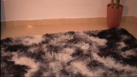 Snapshot of yuyi_cam chatting on December 5, 3:15 am Yuyi Cam online show from December 5, 3:15 am