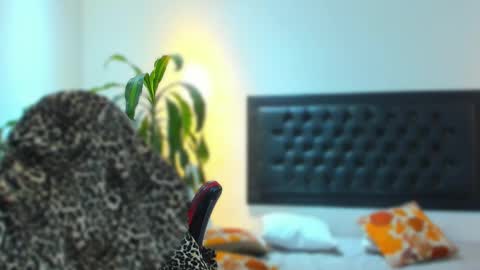 zachpri20 online show from September 24, 9:23 am