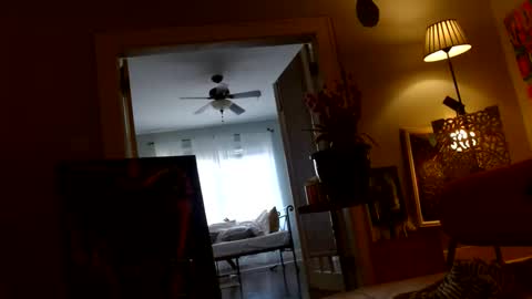 zedlav4 online show from November 28, 9:50 pm