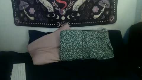 Snapshot of zeldasroom chatting on January 24, 1:24 am Zelda online show from January 24, 1:24 am