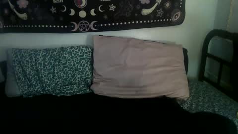 Snapshot of zeldasroom chatting on February 17, 2:09 am Zelda online show from February 17, 2:09 am