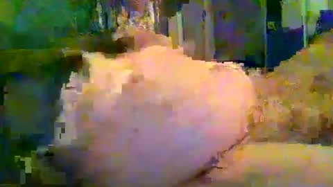 zero0zero123 online show from September 27, 9:53 pm