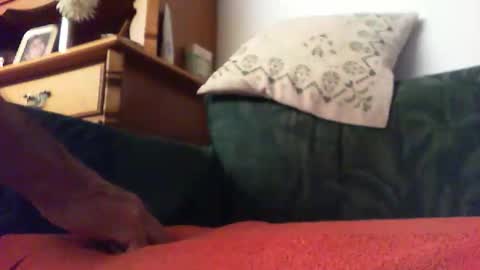 Snapshot of zevioo77 chatting on September 14, 8:30 pm zevioo77 online show from September 14, 8:30 pm