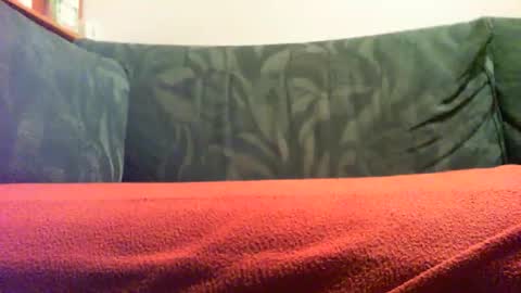 Snapshot of zevioo77 chatting on September 18, 8:11 pm zevioo77 online show from September 18, 8:11 pm