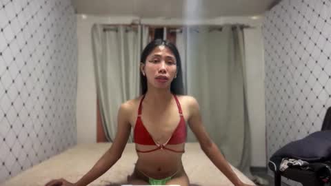 Zinnia nics online show from November 19, 5:51 am