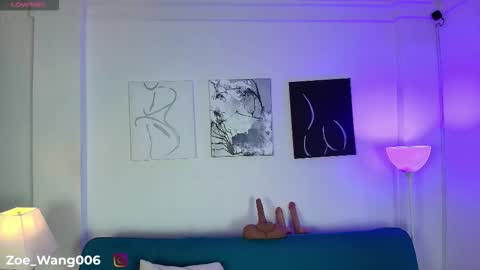 Snapshot of zoe_wang chatting on December 5, 12:47 pm Zoe online show from December 5, 12:47 pm