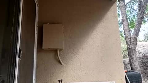 Snapshot of zoeoved92 chatting on October 8, 4:37 pm zoeoved92 online show from October 8, 4:37 pm