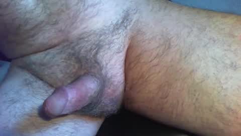 Snapshot of zokalo chatting on February 13, 11:50 am zokalo online show from February 13, 11:50 am