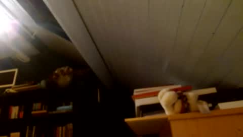 zolexthomas online show from January 15, 4:43 pm