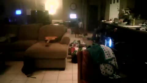 zooroxxx101 online show from April 22, 8:06 am