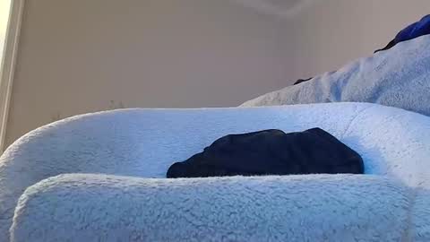 zymase online show from April 16, 9:54 am