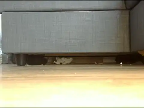 Snapshot of Squirtlady38 chatting on February 13, 1:26 pm Squirtlady38 online show from February 13, 1:26 pm