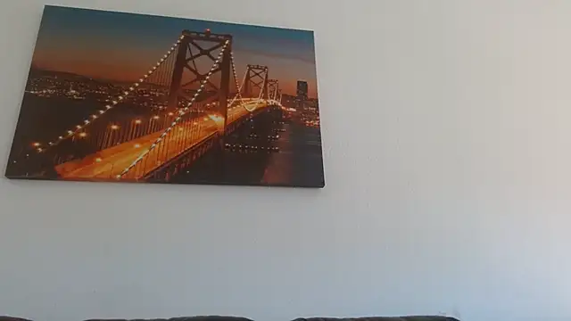 StarZ15 online show from February 16, 2:00 pm