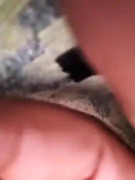 rajstrip12650 online show from February 2, 11:53 pm