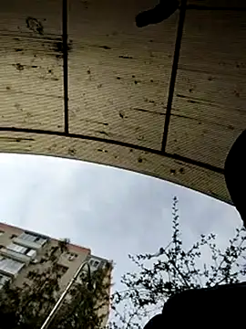 Snapshot of J0nyhson chatting on March 23, 7:31 am J0nyhson online show from March 23, 7:31 am