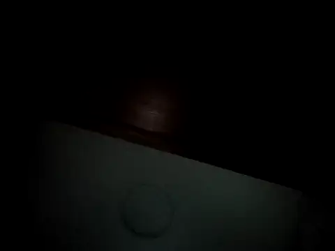 Snapshot of Linda_Gregory chatting on February 16, 4:31 am Linda Gregory online show from February 16, 4:31 am