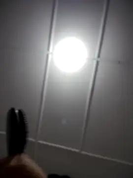 Lia flowers online show from November 2, 12:35 am