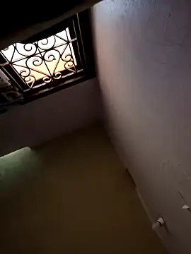 Mallu-Gayathri Arun online show from December 12, 5:10 am