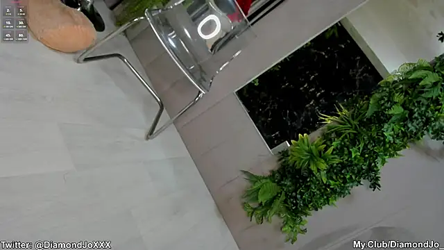 Snapshot of DiamondJo_ chatting on February 7, 11:55 pm DiamondJo online show from February 7, 11:55 pm