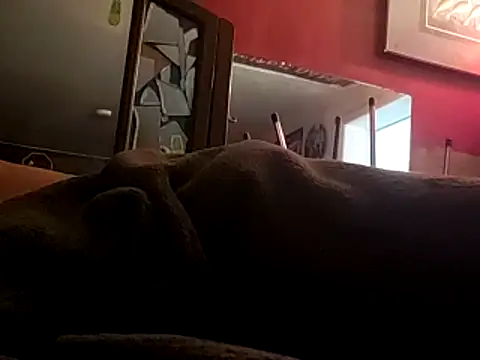 Snapshot of JRock69nKzoo chatting on November 12, 11:54 am JRock69nKzoo online show from November 12, 11:54 am