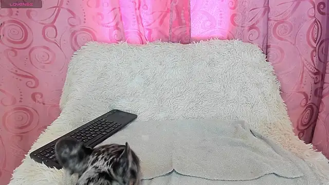 Snapshot of iisabella_gonzalez chatting on September 13, 8:08 pm iisabella gonzalez online show from September 13, 8:08 pm