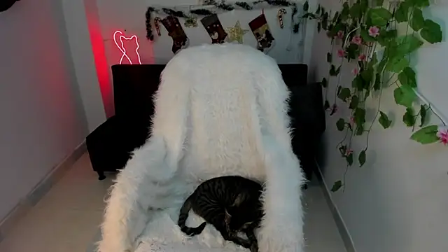 Nanami 19 online show from December 15, 7:21 pm