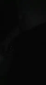 Snapshot of Bi_curious86 chatting on November 13, 4:44 am Bi curious86 online show from November 13, 4:44 am