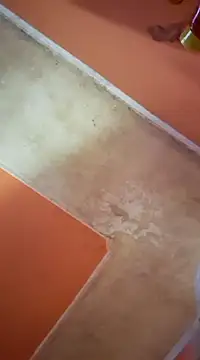 ducicsajsziii online show from March 16, 7:26 am