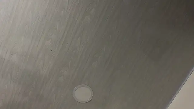 Snapshot of dolly_zoe chatting on February 24, 5:16 am dolly zoe online show from February 24, 5:16 am