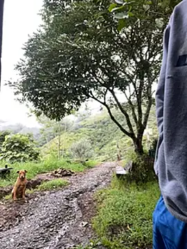 Snapshot of vergasgrandes chatting on January 5, 9:14 pm vergasgrandes online show from January 5, 9:14 pm