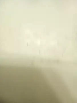 Masternasty online show from November 25, 6:46 am