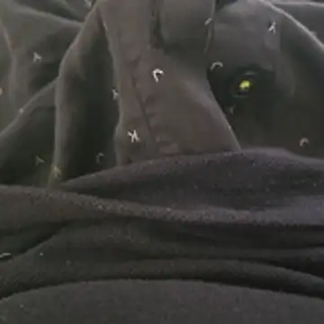 Snapshot of surfer_fun29 chatting on December 2, 5:35 am surfer fun29 online show from December 2, 5:35 am