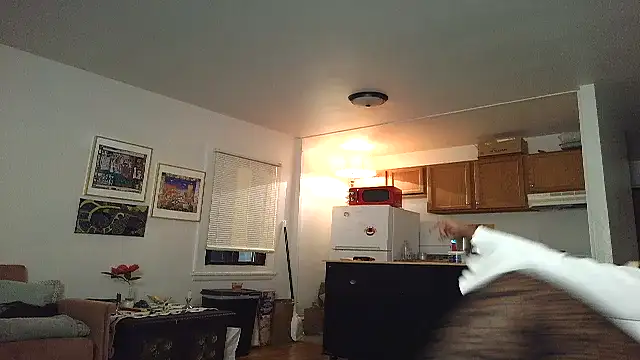 Snapshot of SiminFox chatting on November 27, 4:03 am SiminFox online show from November 27, 4:03 am