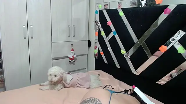 katery wok11 online show from April 5, 4:09 am