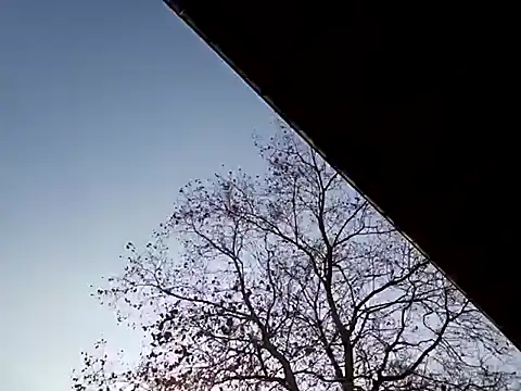 Snapshot of Mia_Railey chatting on March 7, 3:49 pm Mia Railey online show from March 7, 3:49 pm