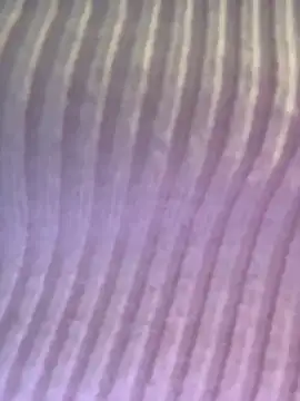 Isabellafantazy online show from December 16, 4:01 pm