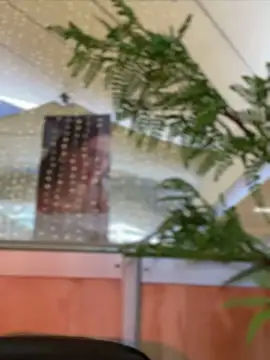 Emilia Bakerr online show from December 15, 9:31 pm