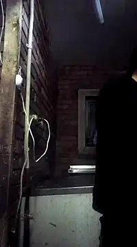 Cameron puppy online show from March 7, 6:00 pm