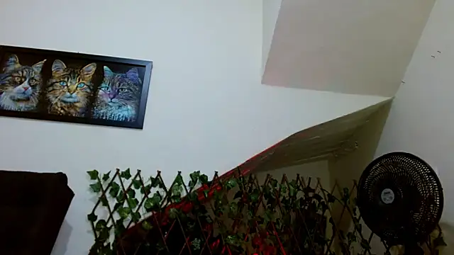 lady scarlettt online show from February 23, 4:39 am