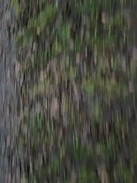 Snapshot of Przystojniak77 chatting on December 20, 2:24 pm Przystojniak77 online show from December 20, 2:24 pm