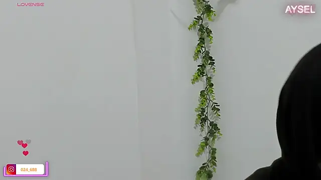 Snapshot of aysel_elid chatting on January 8, 12:06 am aysel elid online show from January 8, 12:06 am