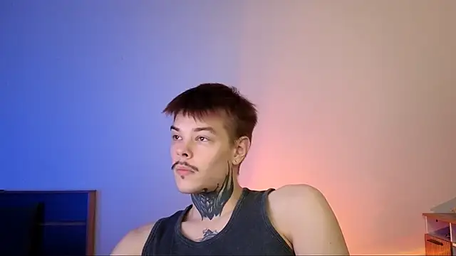 DENIS HERE online show from November 26, 5:47 pm