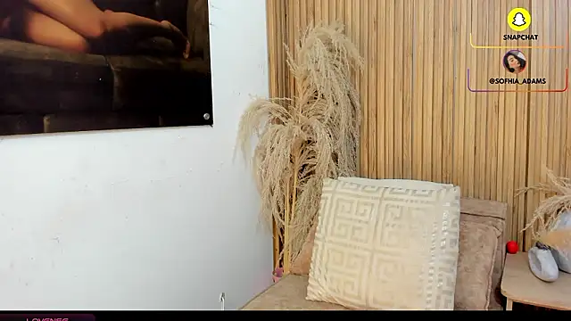 Snapshot of sofhiaa_adaams chatting on February 20, 10:43 pm sofhiaa adaams online show from February 20, 10:43 pm