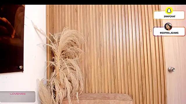 Snapshot of sofhiaa_adaams chatting on February 22, 5:11 pm sofhiaa adaams online show from February 22, 5:11 pm