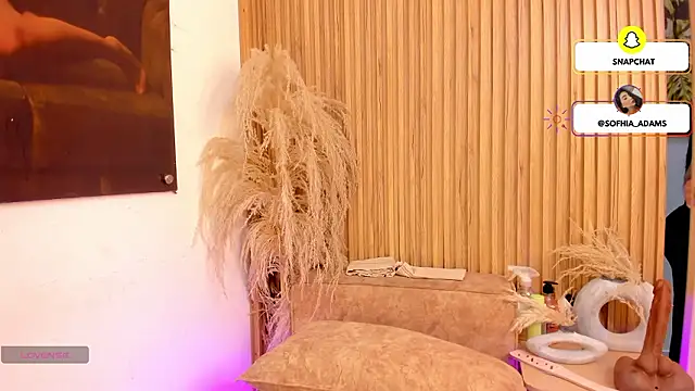 Snapshot of sofhiaa_adaams chatting on February 25, 10:30 pm sofhiaa adaams online show from February 25, 10:30 pm