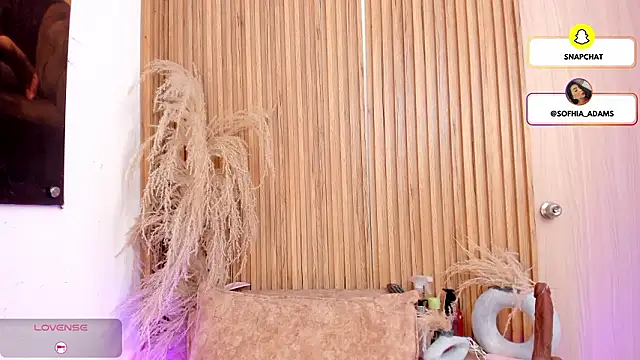 Snapshot of sofhiaa_adaams chatting on February 27, 10:43 pm sofhiaa adaams online show from February 27, 10:43 pm