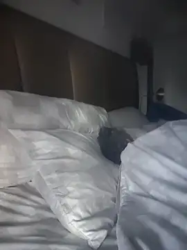 CeceilaMoon online show from April 21, 1:06 pm