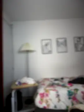 horny roomiess online show from November 25, 11:49 pm